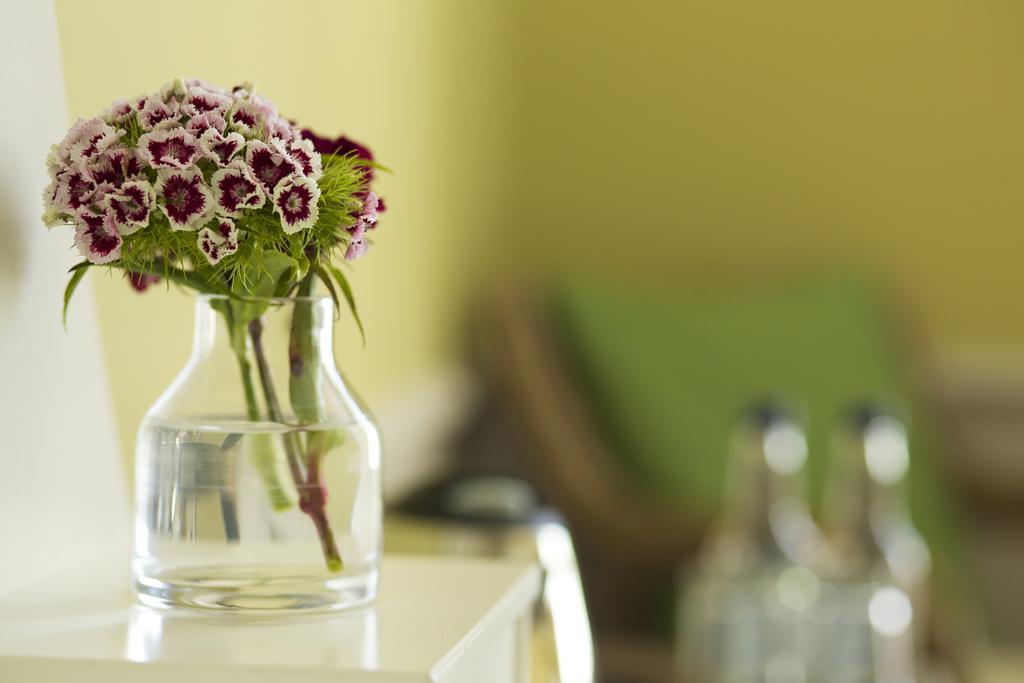 The Manor At Sway - Hotel, Restaurant And Gardens ภายนอก รูปภาพ